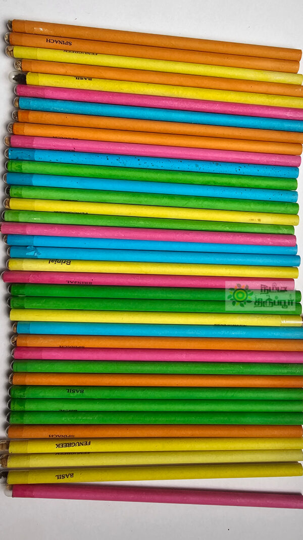 Ecofriendly Recycled Plantable Seed Color Pencils